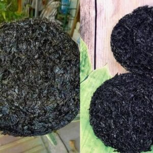 Món ngon
